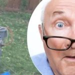 A furcsa lelet a fa mellett értetlenül hagyta a szomszédot: