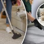 Egyetlen nyomot sem hagyunk magunk után: 7 lépés a vizeletszag eltávolításához a szőnyegből Egyetlen nyomot sem hagyunk magunk után: 7 lépés a vizeletszag