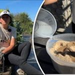 Egyszerű nagypapa módszere: egy kertész elmondta, hogyan lehet a sárgarépát tavaszig frissen tartani Egyszerű nagypapa módszere: egy kertész elmondta, hogyan lehet a sárgarépát