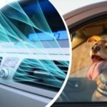 Hőhullám sújtja Ukrajnát: hogyan lehet gyorsan lehűteni az autó belsejét légkondicionáló nélkül Hőhullám sújtja Ukrajnát: hogyan lehet gyorsan lehűteni az autó belsejét