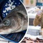 Hogyan válasszuk ki a friss halat a boltban: jelek, amelyeket