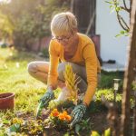 Mit kell enni 50 év után a csontok egészségéért: a táplálkozási szakemberek megnevezték a megfelelő termékeket Mit kell enni 50 év után a csontok egészségéért: a